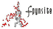 Spynsite LLC logo